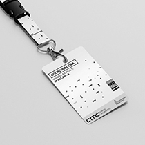 DESARROLLO MICRODATOS